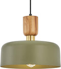 Green Wood Brass Pendant Light Fixture